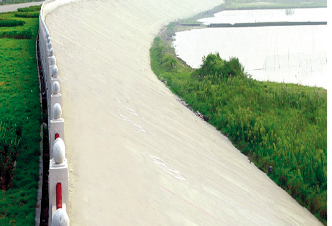 江西省优良工程-南昌市南外州都会防洪加固整治工程